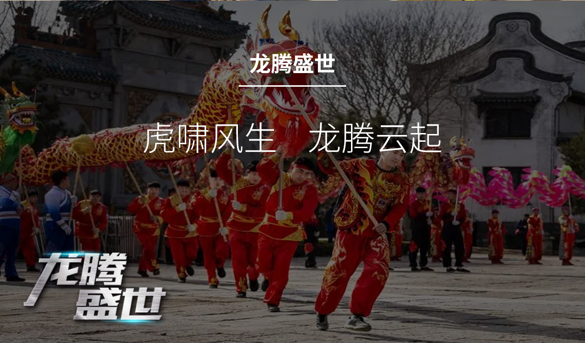 龙腾盛世_02.jpg