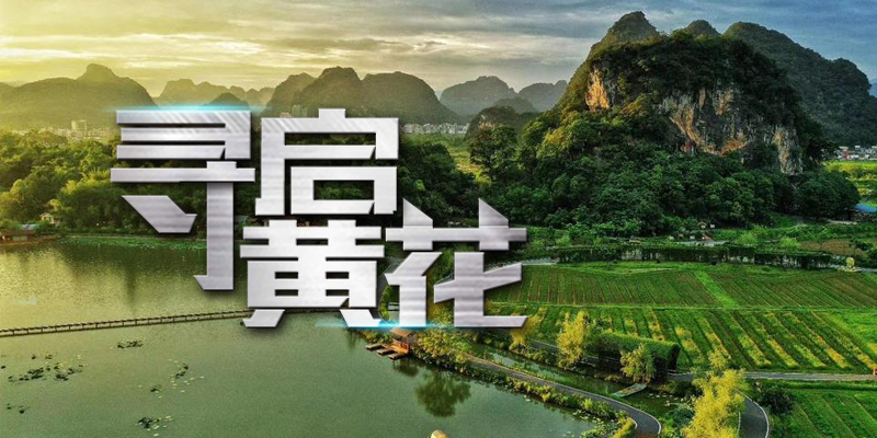 寻启黄花(huā)