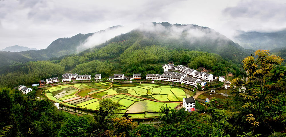 丽水莲都诗画利山(shān)基地