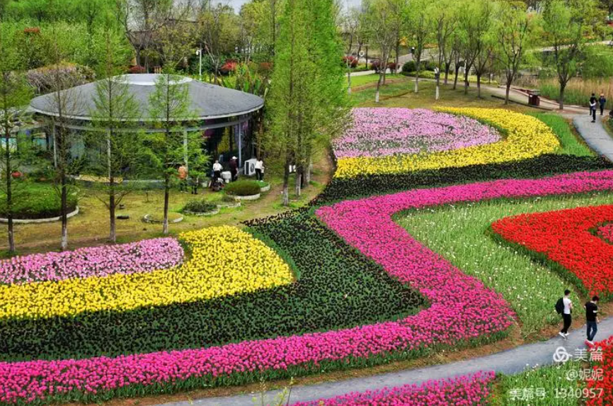 绍兴上虞海上花(huā)田拓展基地