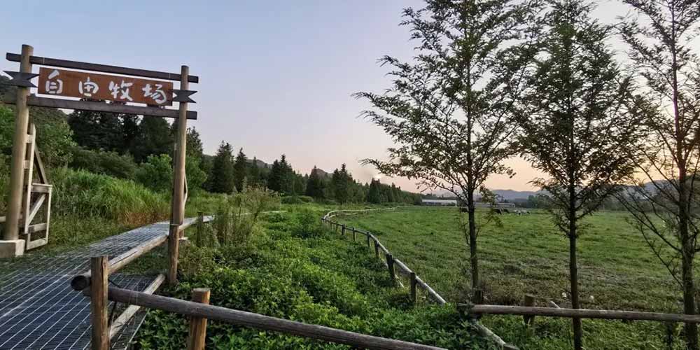 湖(hú)州莫干山(shān)农场拓展基地