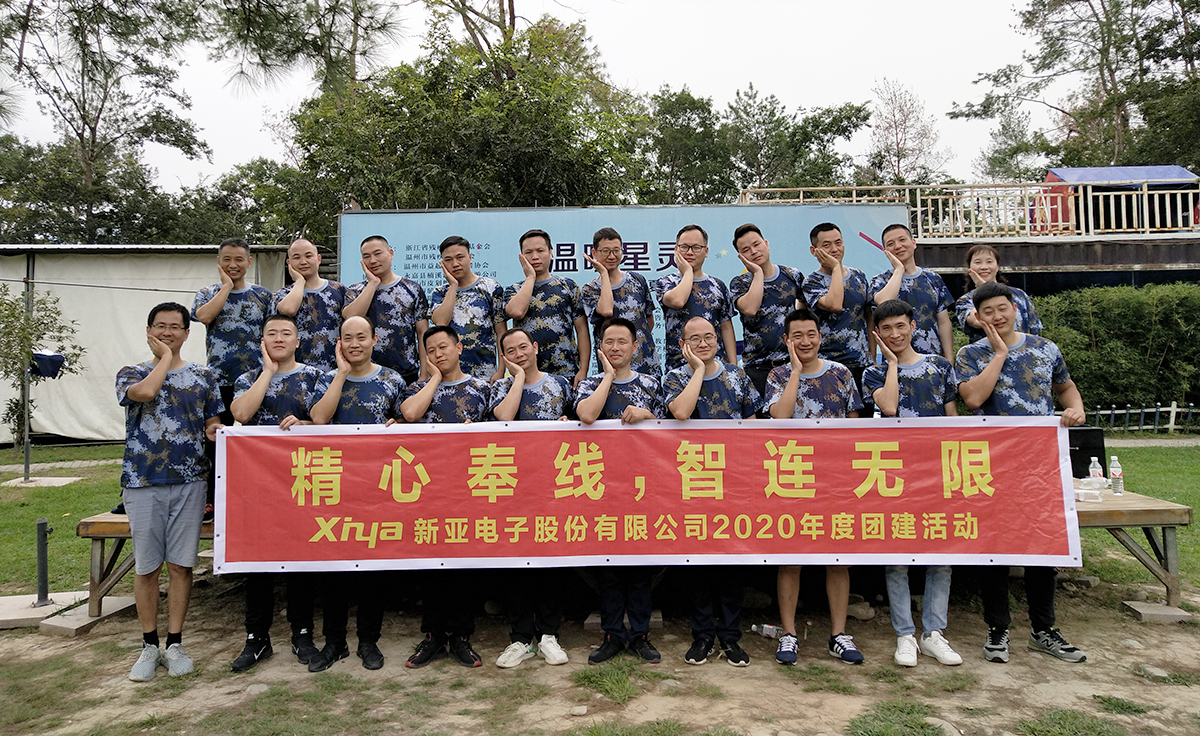 溫州新(xīn)亞電(diàn)子股份有(yǒu)限公司2020年度團建活動